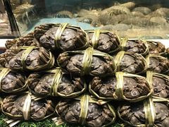 -宜宾海鲜酒家·三十年老字号