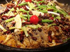 -老板恋上鱼(恒隆广场店)