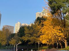 -苏州河梦清园环保主题公园