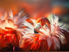 -罗红摄影艺术馆