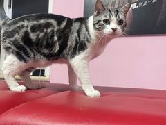 -炼呗运动康复·健身工作室(紫竹桥店)