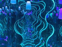 -梵高星空艺术馆(北京旗舰店)