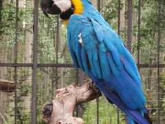 -北京野生动物园