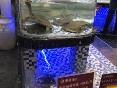 -甲鱼张甲鱼铺子(观沙岭店)