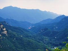 -大岭沟猕猴桃谷风景区