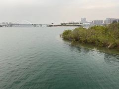 -五缘湾湿地公园