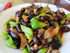 -沽源味道蒙餐莜面家常菜
