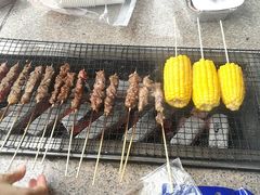 -吴淞炮台湾湿地森林公园烧烤区