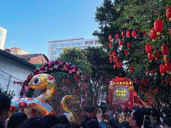 -越秀西湖花市(广州城市广场花卉店)