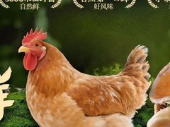 -田村·石锅藏香鸡(八廓街店)