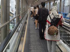 -中环半山扶手电梯