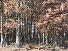 -四明湖
