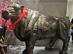 -秦宝雪花牛肉养生火锅(大兴九臻店)