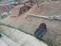 -泉州海丝野生动物世界