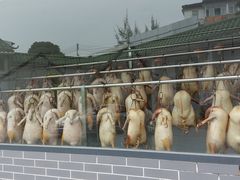 -粥旺庄(芳村店)