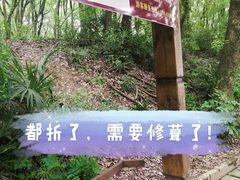 -东湖磨山景区