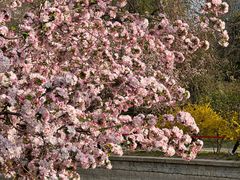 -元大都城垣遗址公园