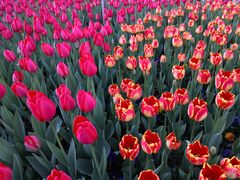 -无锡市市民中心