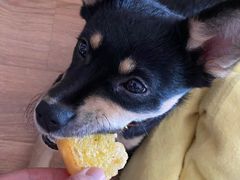 -必胜客(松江三湘宅急送店)