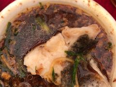 桑拿鱼-友口福(大良店)