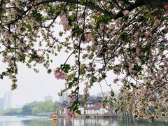 -莫愁湖公园