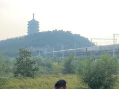 -永定河休闲森林公园