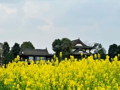 -青城山