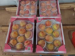 -南汇水蜜桃采摘(大团店)