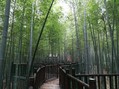 -陶祖圣境风景区