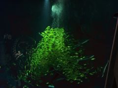 -成都浩海立方海洋公园