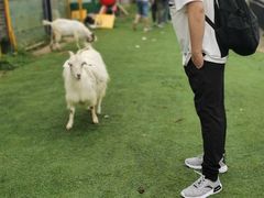 -常乐·对症推拿(来福士第43分店)