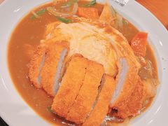 -COCO壱番屋(北京平安国际金融中心店)