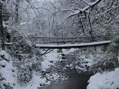 -龙苍沟森林公园