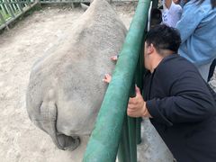 -哈尔滨北方森林动物园