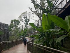-武汉动物园
