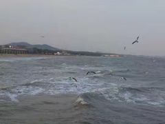 -南戴河旅游度假区