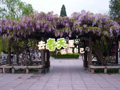 -济南大明湖景区