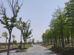 -春花秋色城市公园