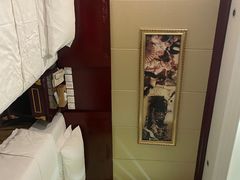 -维也纳国际酒店·上海虹桥火车站国家会展中心店
