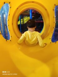 -爱丽丝奇幻乐园