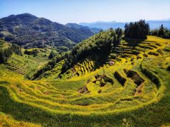 -紫鹊界梯田景区
