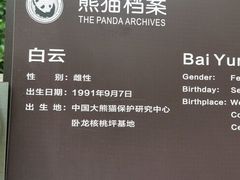 -都江堰中华大熊猫苑