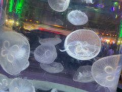 -横店影视城梦幻谷园区