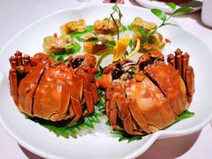清蒸大闸蟹-蟹榭·莳鲜(虹桥高岛屋店)