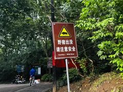 -紫金山天文台