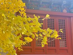 -承恩寺