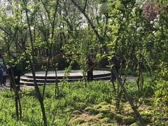 -洛阳市隋唐城遗址植物园