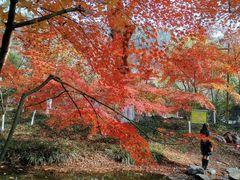 -西湖风景区十里琅珰-五云山