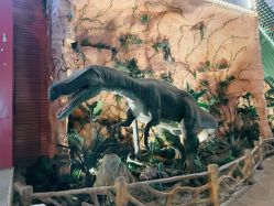 点击看大图 -宝燕乐园(闵行旗舰店)