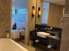 -河源万绿湖美思威尔顿酒店